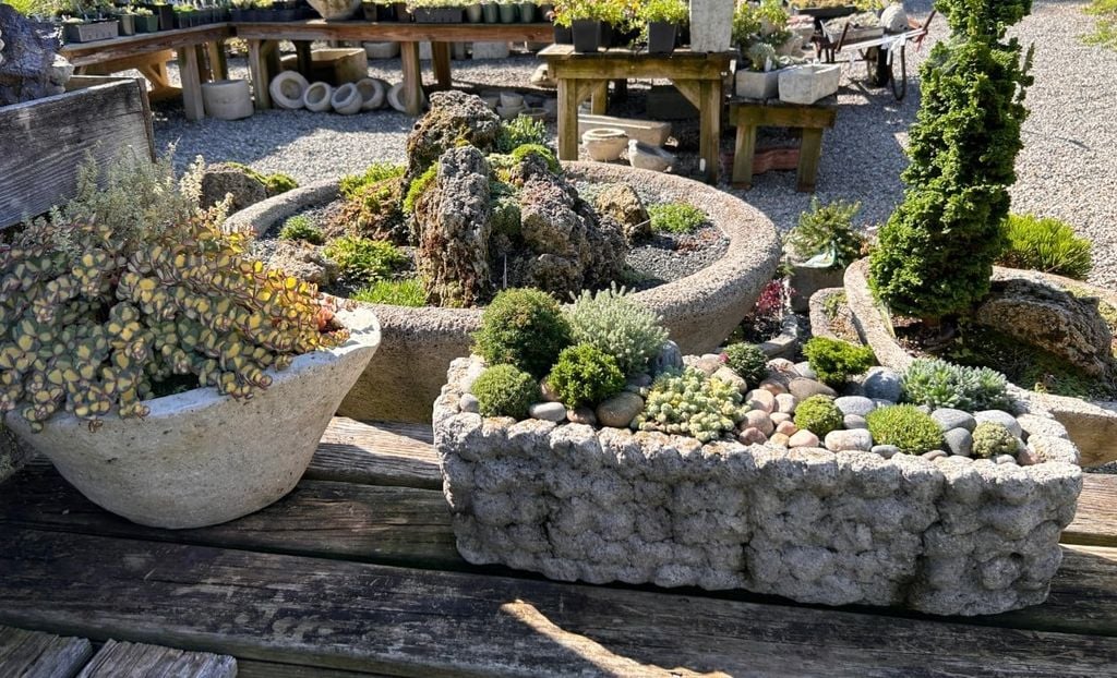 Key Notes When Making Hypertufa Pots at Home