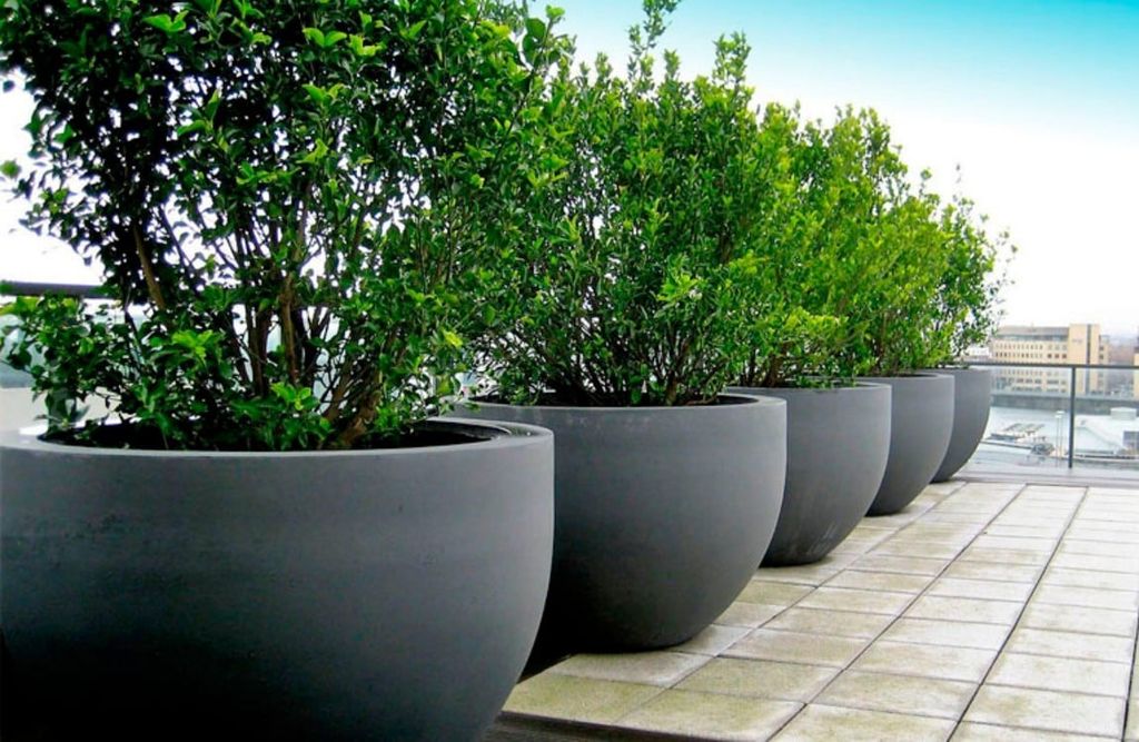 How Long Do Fiberglass Planters Last