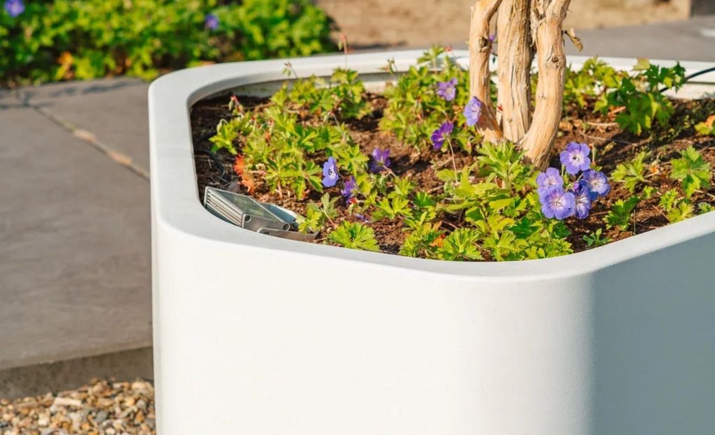 Is Investing in Fiberglass Planters a Smart Choice