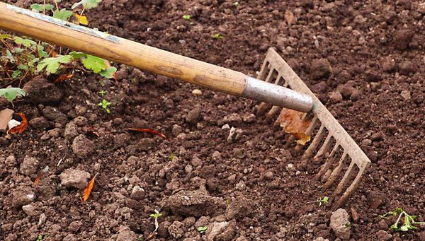Managing Soil Compaction