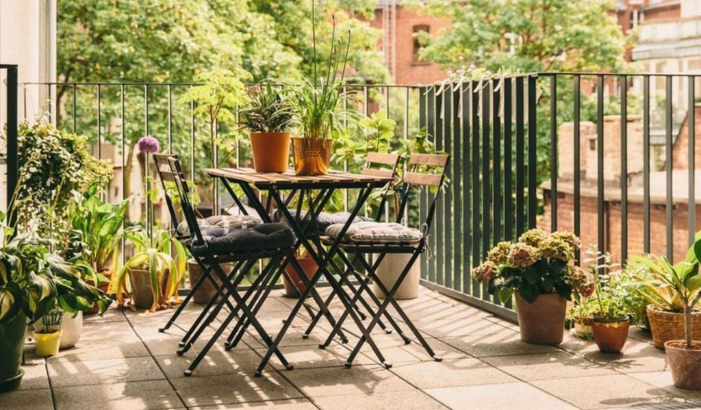 Choosing pots according to sunlight, wind, and balcony orientation