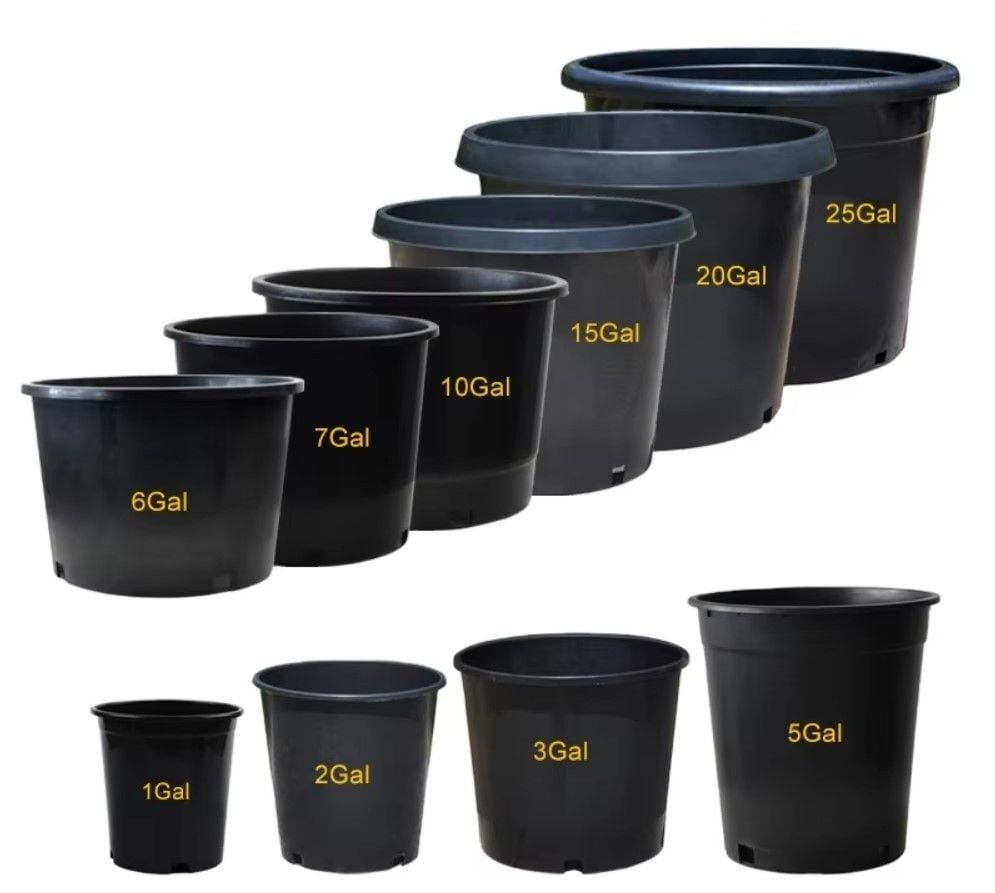 Pot size