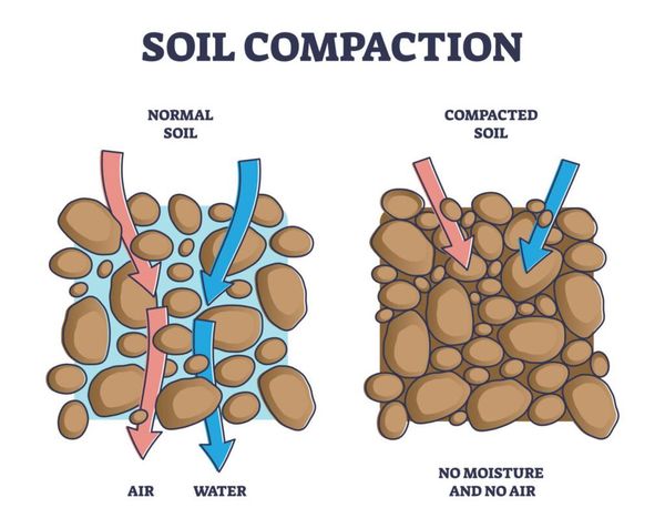soil compaction