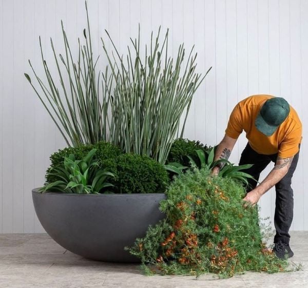 Fiber Cement Planters Across a Variety of Spaces