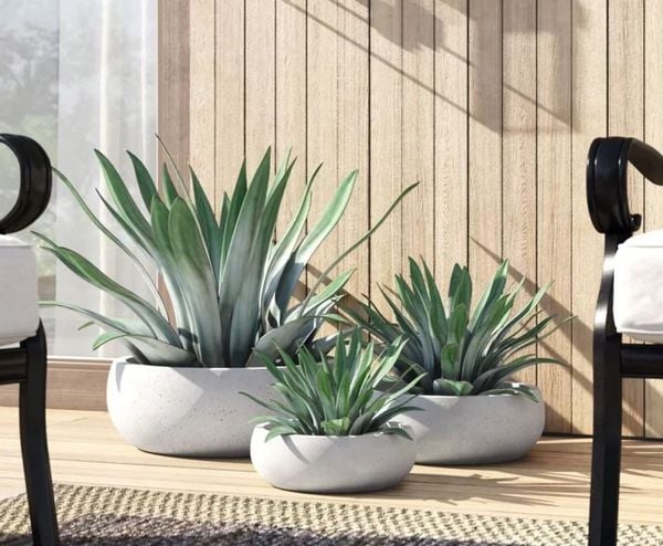 Outstanding Features of Fiber Cement Pots