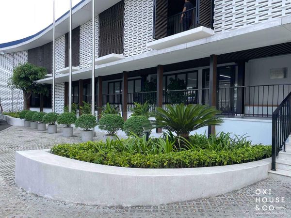 DỊCH VỤ CHO THUÊ VÀ BẢO DƯỠNG CÂY XANH