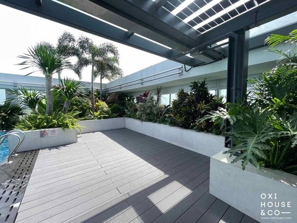 BẢO DƯỠNG VƯỜN SÂN THƯỢNG