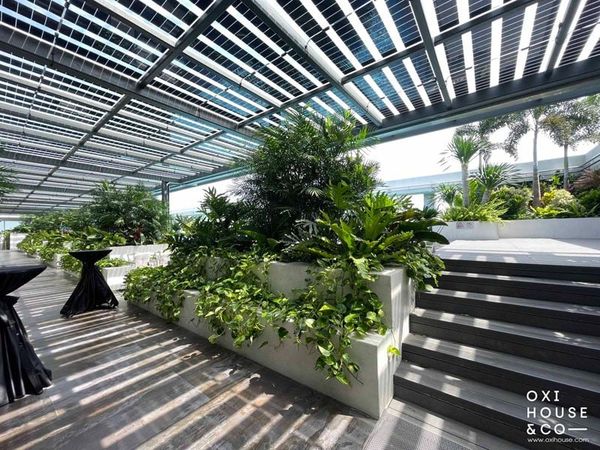 BẢO DƯỠNG VƯỜN SÂN THƯỢNG