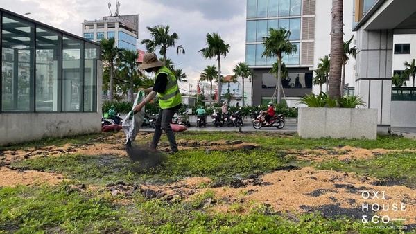 CÔNG TY CÂY CẢNH