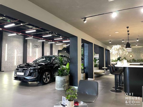 DỊCH VỤ CHO THUÊ VÀ BẢO DƯỠNG CÂY XANH