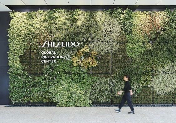 Ý TƯỞNG THIẾT KẾ CÂY XANH