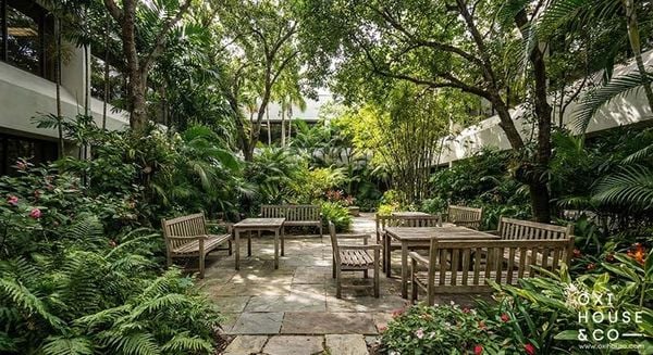 DỊCH VỤ CÂY XANH