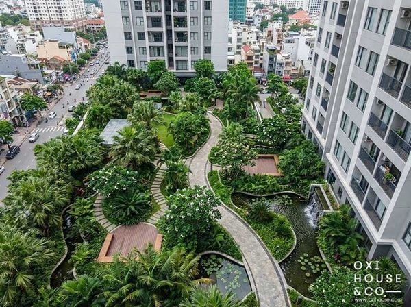 DỊCH VỤ CÂY XANH