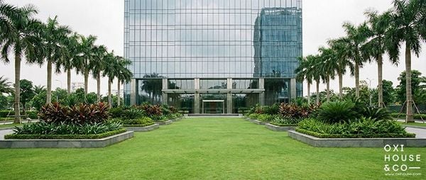 DỊCH VỤ CÂY XANH