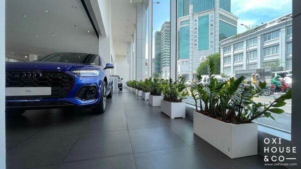 DỊCH VỤ CÂY XANH