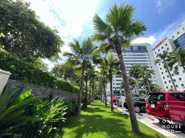 DỊCH VỤ CÂY XANH