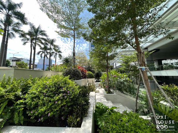 DỊCH VỤ BẢO DƯỠNG CẢNH QUAN CHUYÊN NGHIỆP