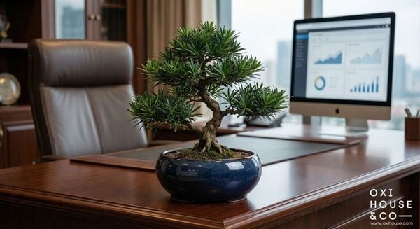 CÂY HỢP MỆNH THỦY