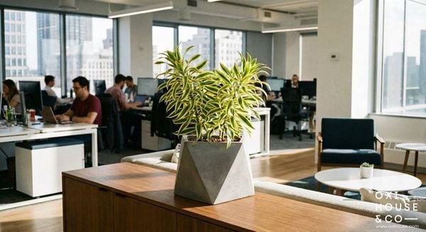 CÂY HỢP MỆNH THỦY