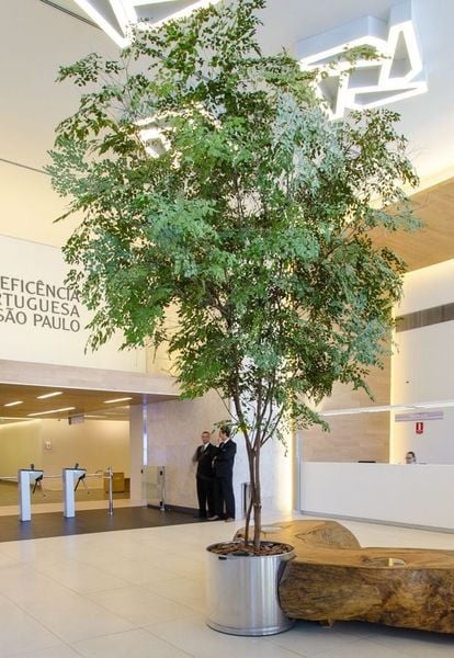 Ý TƯỞNG THIẾT KẾ CÂY XANH