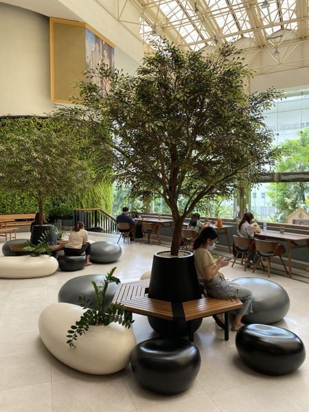 Ý TƯỞNG THIẾT KẾ CÂY XANH