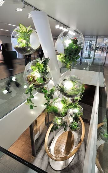 Ý TƯỞNG THIẾT KẾ CÂY XANH