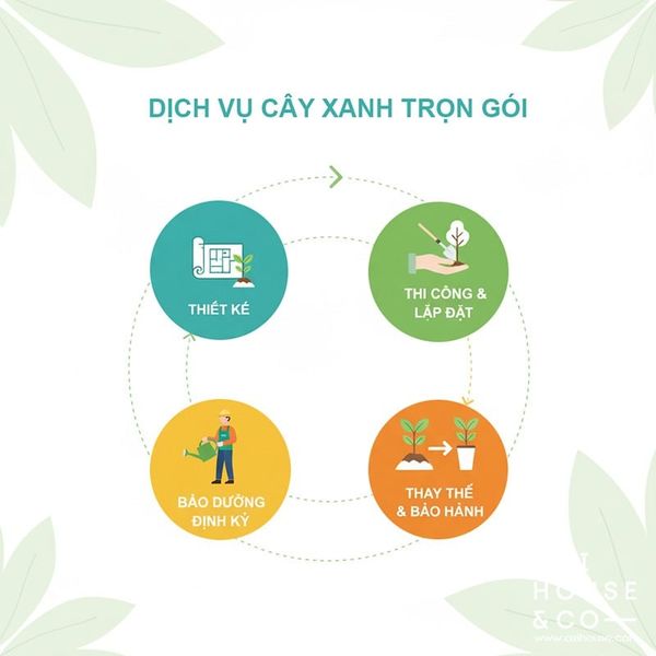 DỊCH VỤ CÂY XANH TRỌN GÓI