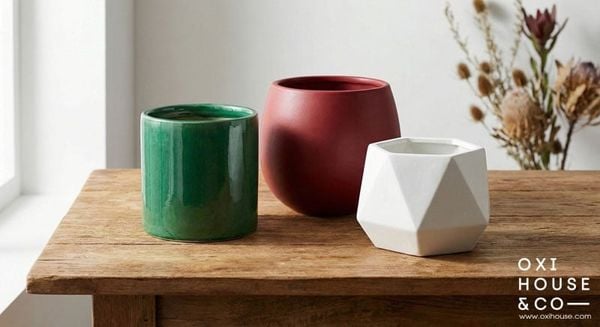 CÂY CHO NGƯỜI MỆNH HỎA