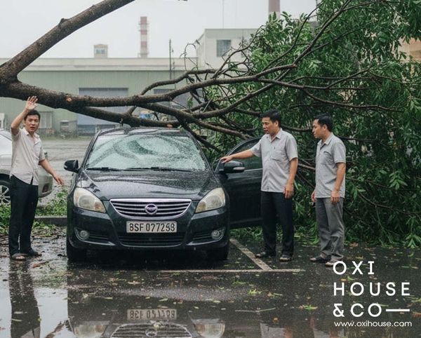 DỊCH VỤ BẢO DƯỠNG CẢNH QUAN CHUYÊN NGHIỆP