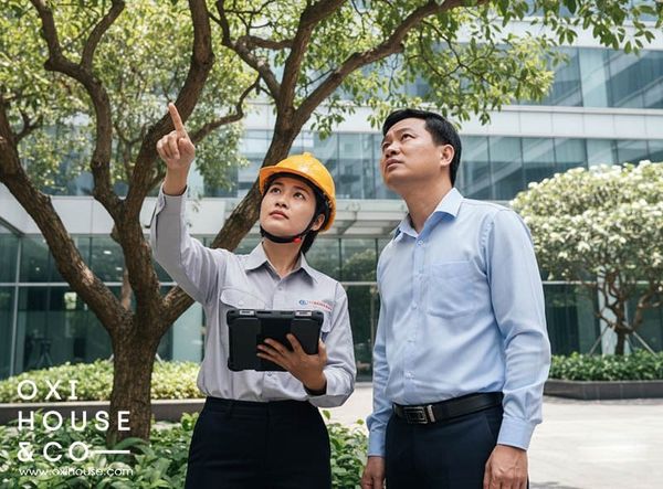 DỊCH VỤ BẢO DƯỠNG CẢNH QUAN CHUYÊN NGHIỆP