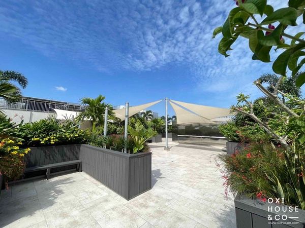 BẢO DƯỠNG VƯỜN SÂN THƯỢNG