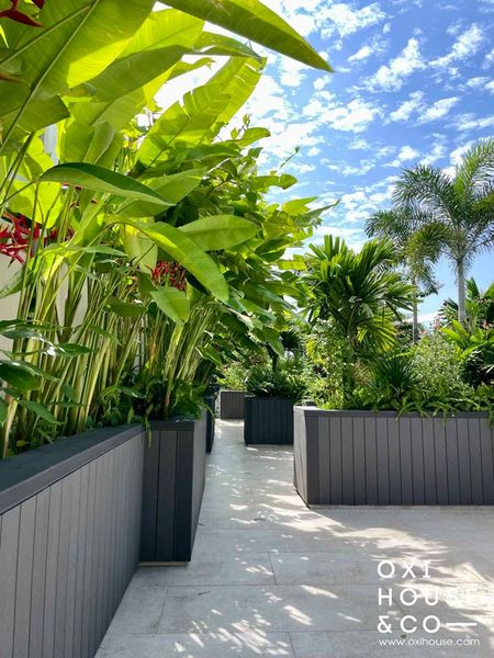 BẢO DƯỠNG VƯỜN SÂN THƯỢNG