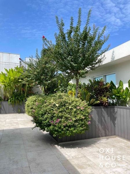 BẢO DƯỠNG VƯỜN SÂN THƯỢNG