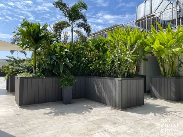 BẢO DƯỠNG VƯỜN SÂN THƯỢNG