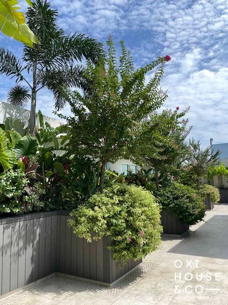 BẢO DƯỠNG VƯỜN SÂN THƯỢNG