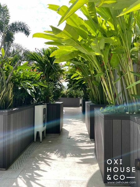 BẢO DƯỠNG VƯỜN SÂN THƯỢNG