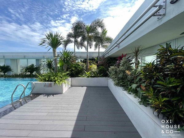 BẢO DƯỠNG VƯỜN SÂN THƯỢNG