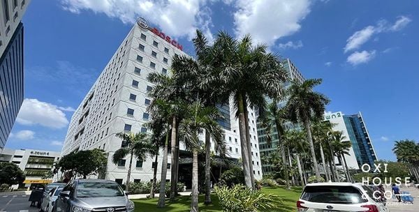 DỊCH VỤ CHĂM SÓC CẢNH QUAN TÒA NHÀ VĂN PHÒNG