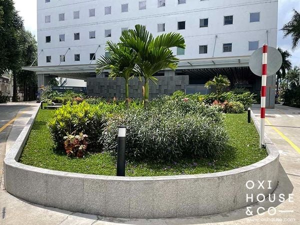 DỊCH VỤ CHĂM SÓC CẢNH QUAN TÒA NHÀ VĂN PHÒNG