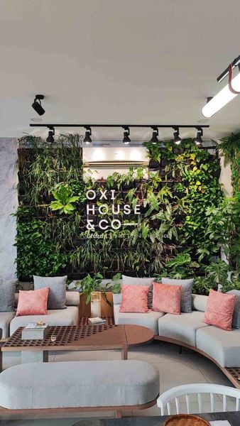 CÔNG TY CHĂM SÓC CẢNH QUAN UY TÍN TPHCM