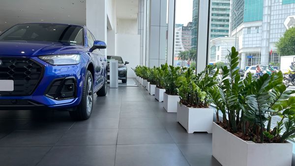 DỊCH VỤ CHO THUÊ VÀ BẢO DƯỠNG CÂY XANH