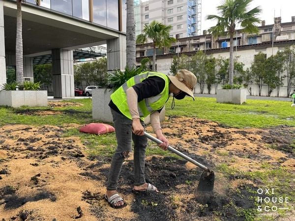 CẢI TẠO ĐẤT CHO CẢNH QUAN TÒA NHÀ, CÔNG TY