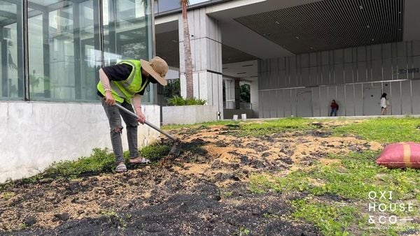 CẢI TẠO ĐẤT CHO CẢNH QUAN TÒA NHÀ, CÔNG TY