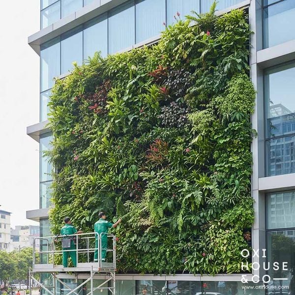 BÁO GIÁ BẢO DƯỠNG CẢNH QUAN TÒA NHÀ