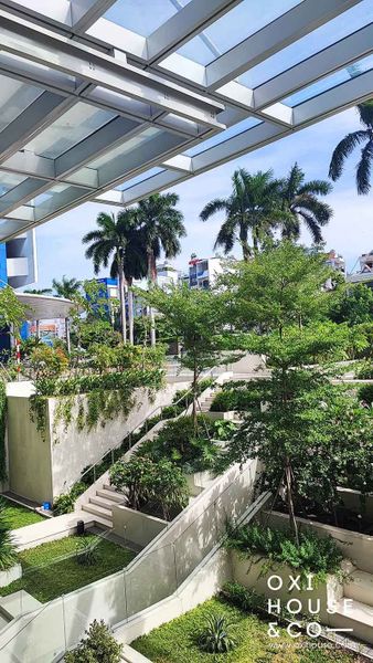 CÔNG TY CÂY CẢNH