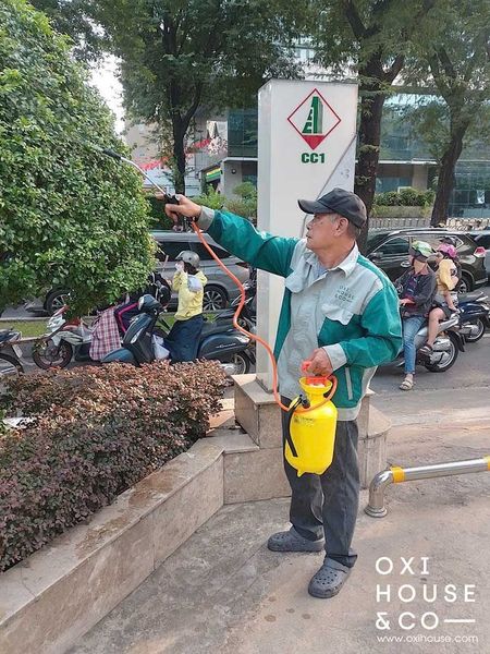 CÔNG TY CÂY CẢNH