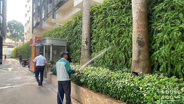 CÔNG TY CÂY CẢNH