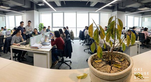 BẢO DƯỠNG CẢNH QUAN VĂN PHÒNG