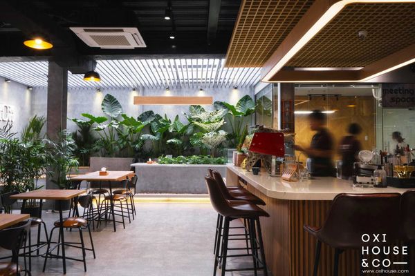 TRỒNG VÀ CHĂM SÓC CÂY XANH