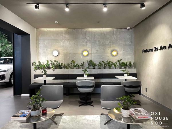 TRỒNG VÀ CHĂM SÓC CÂY XANH